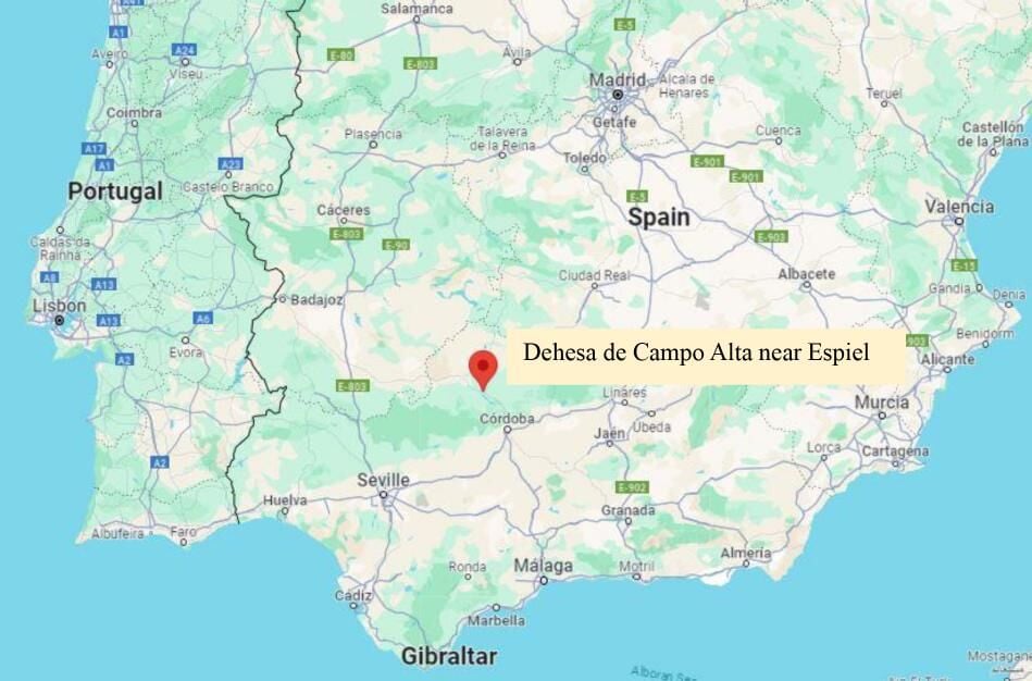 Dehesa de Campo Alta processing facility near Espiel, Cordoba, Spain
