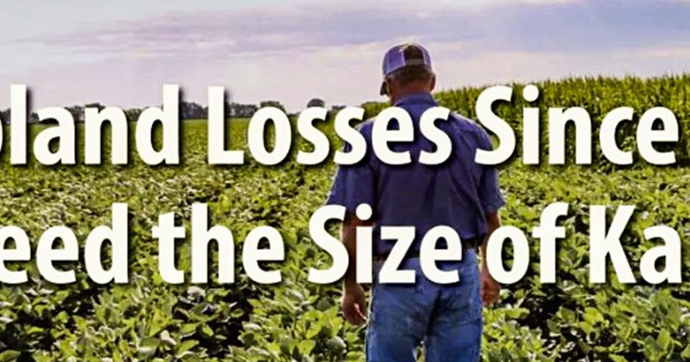 Cropland losses