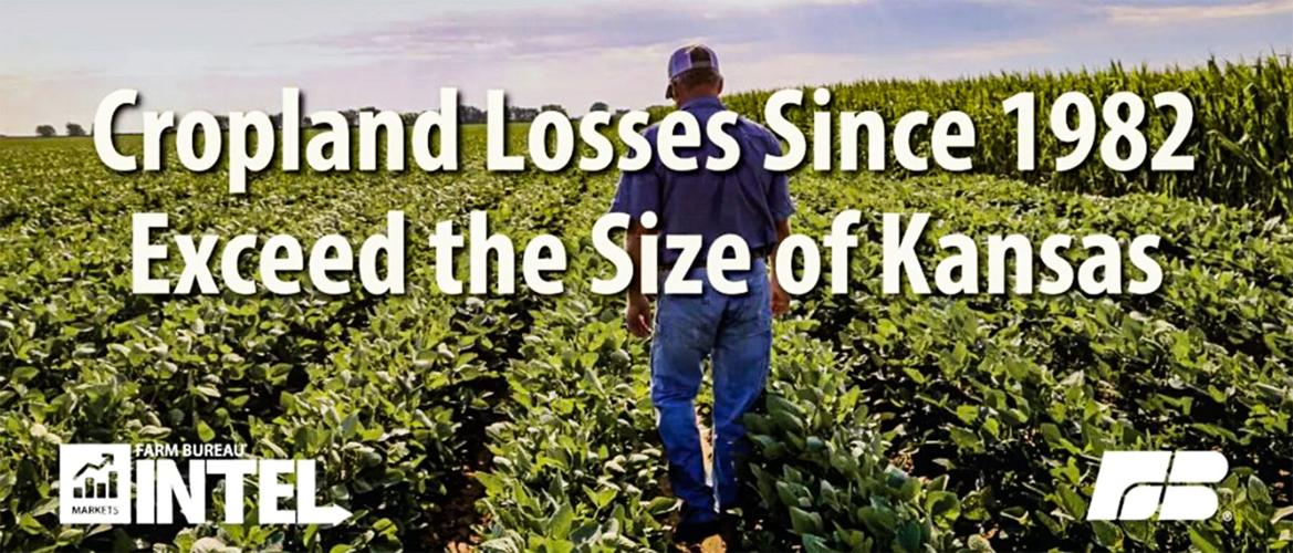 Cropland losses