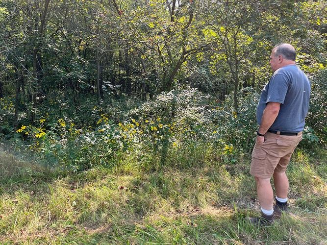 Iowa tree farm follows family tradition