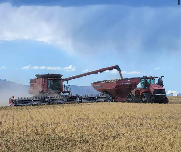 Harvest