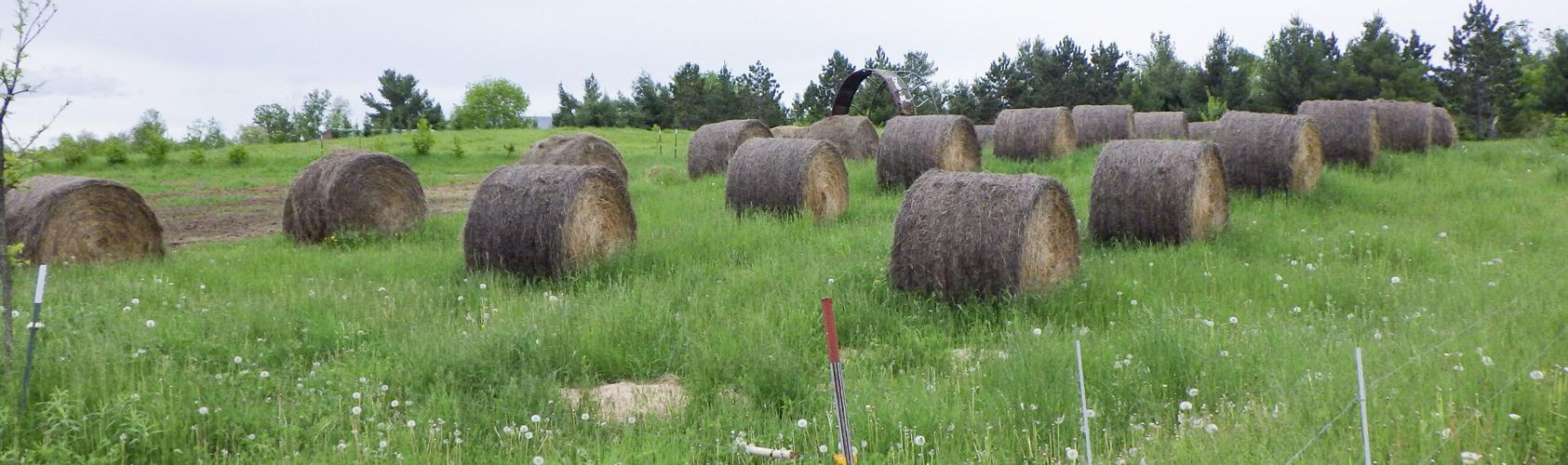 Hay bales