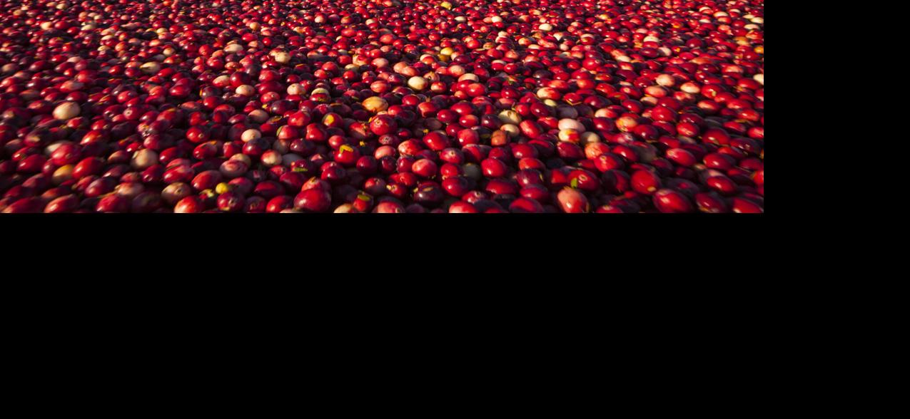 Cranberries