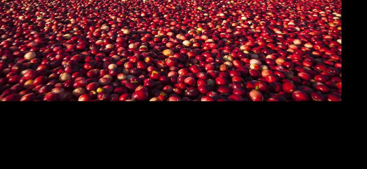 Cranberries