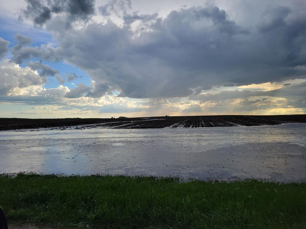 Flooded fields