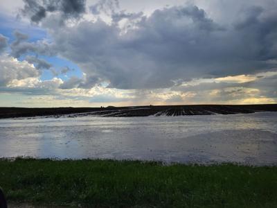 Flooded fields