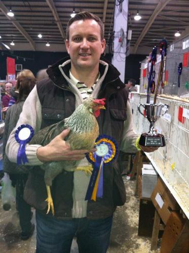 Poultry at show