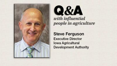 Q & A Steve Ferguson