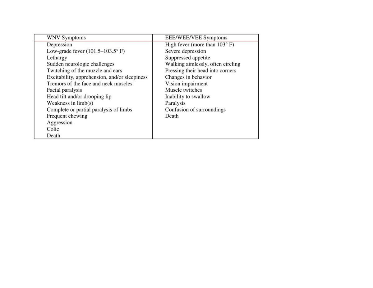 Horse equine viruses symptoms