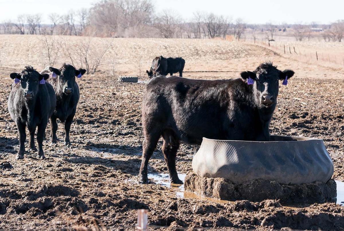 Managing mud PIC 0128ksu