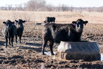 Managing mud PIC 0128ksu