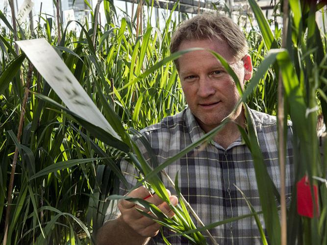 Agronomy -- Research