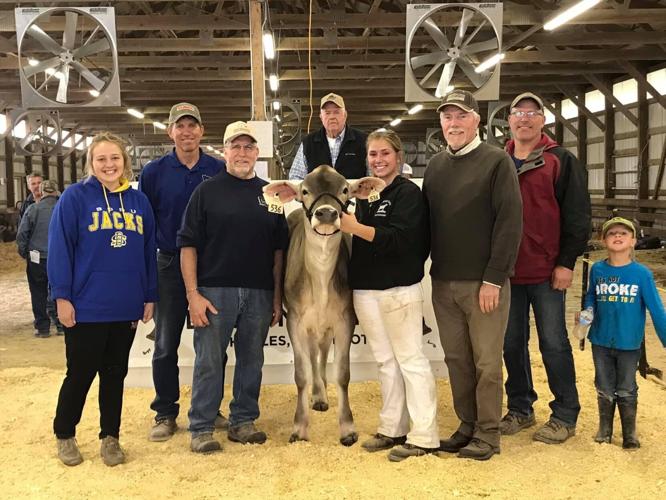 Brown Swiss top seller