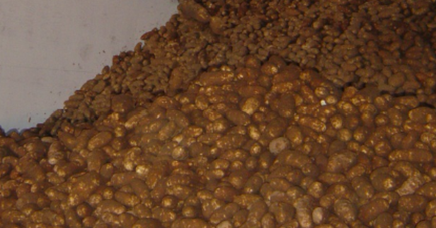 Potato processing equipment