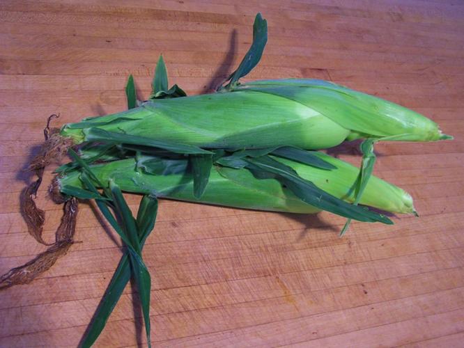 Fresh sweet corn