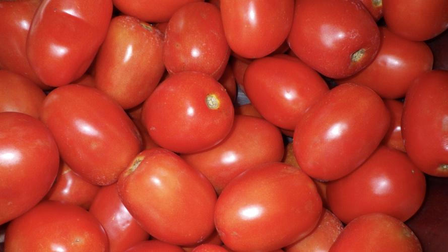 Tomatoes