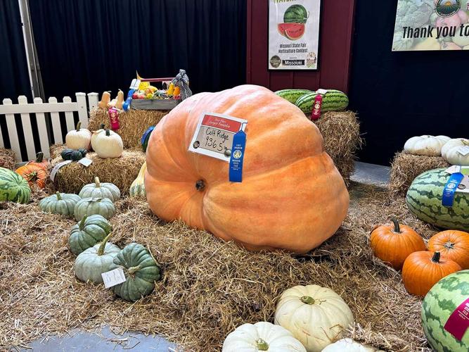 Missouri State Fair pumpkin