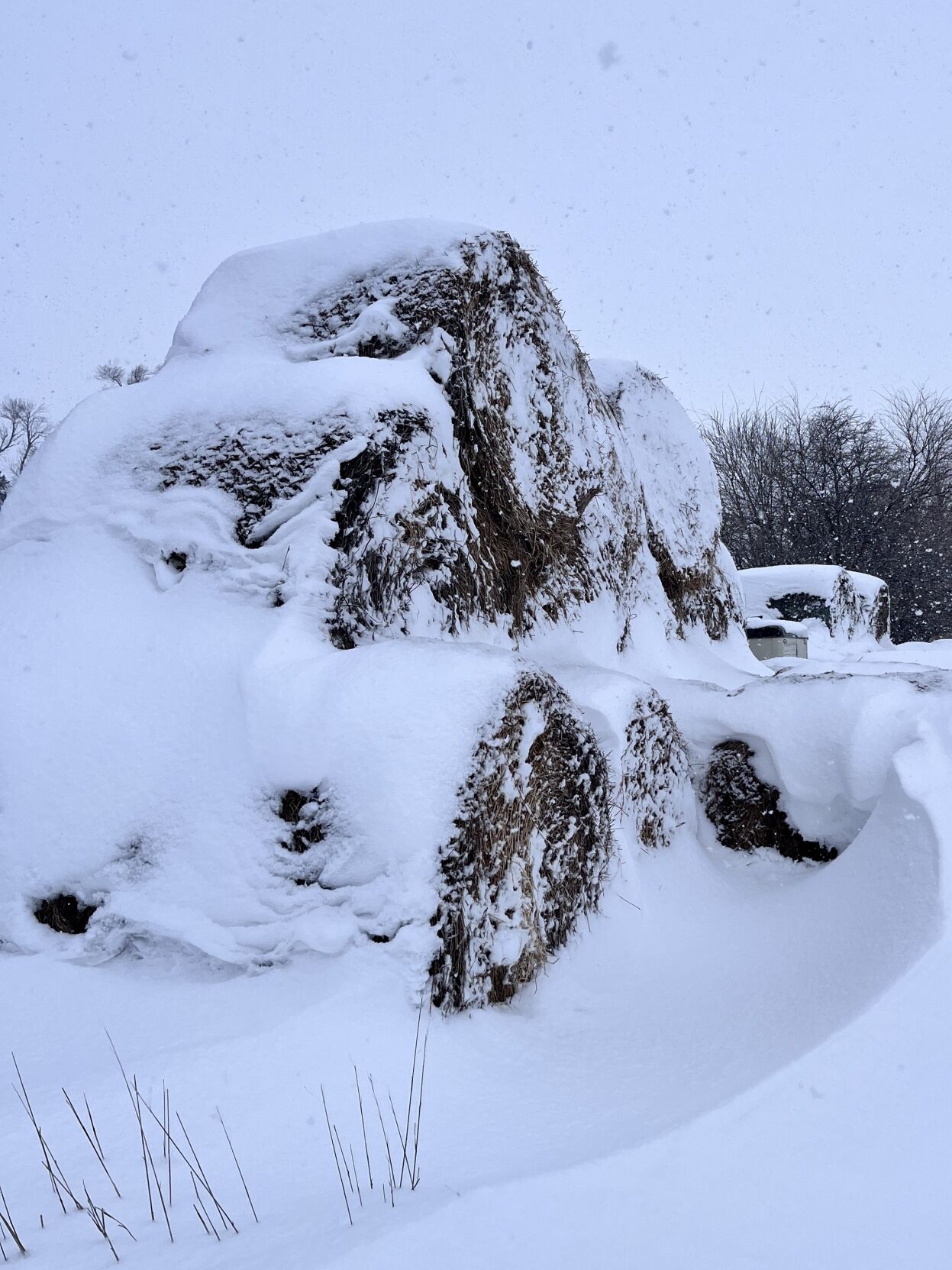 Recent blizzards may cause chronic bloating months later