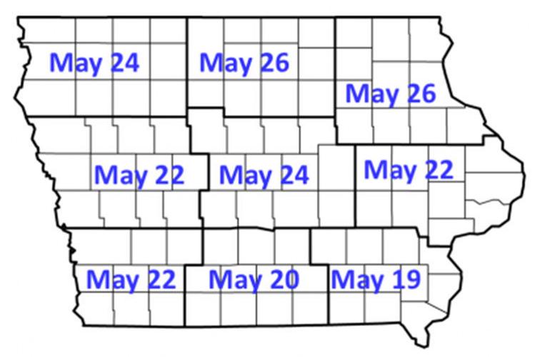 Estimated black cutworm cutting dates