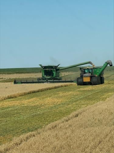 Harvesting at the Kitzman farm