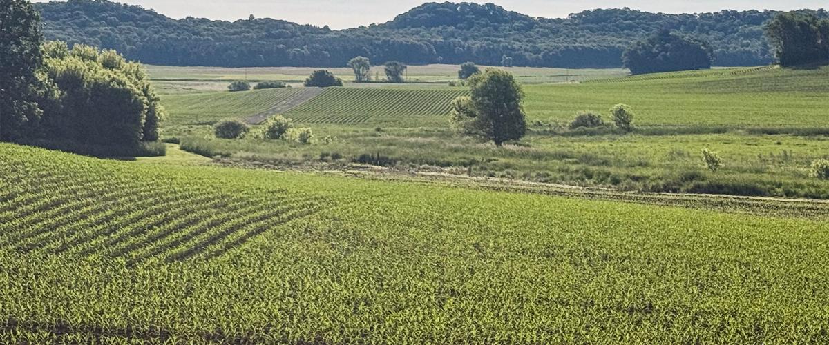 Fields
