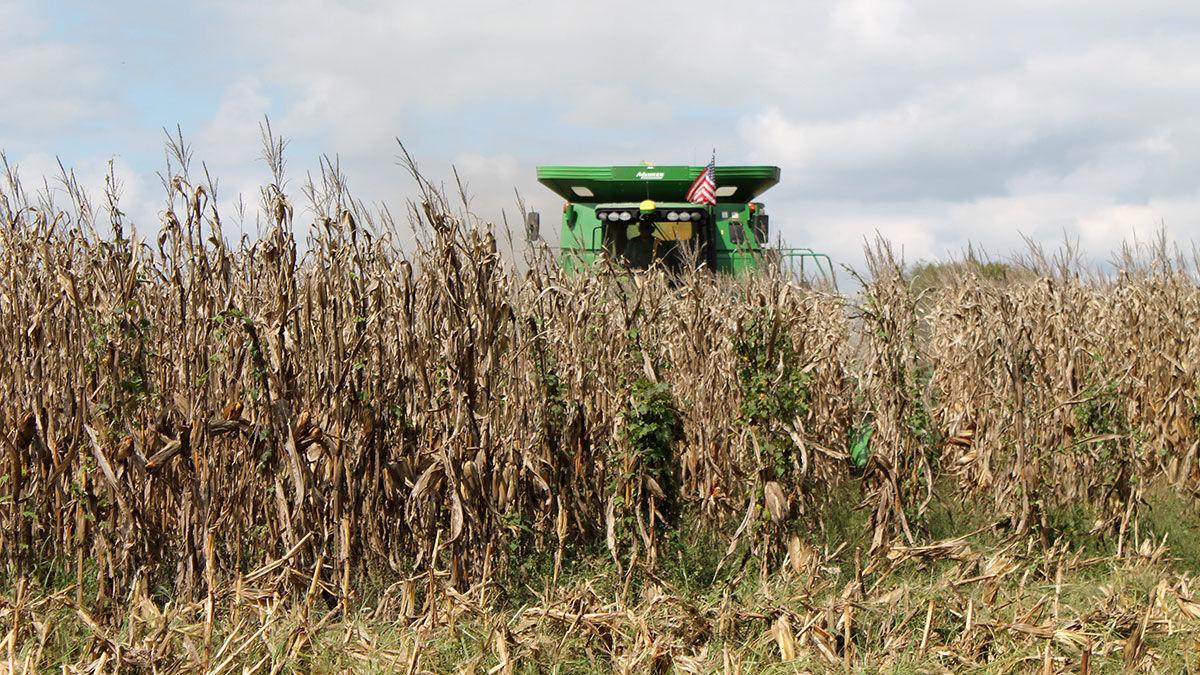 Combine with flag and corn harvest
