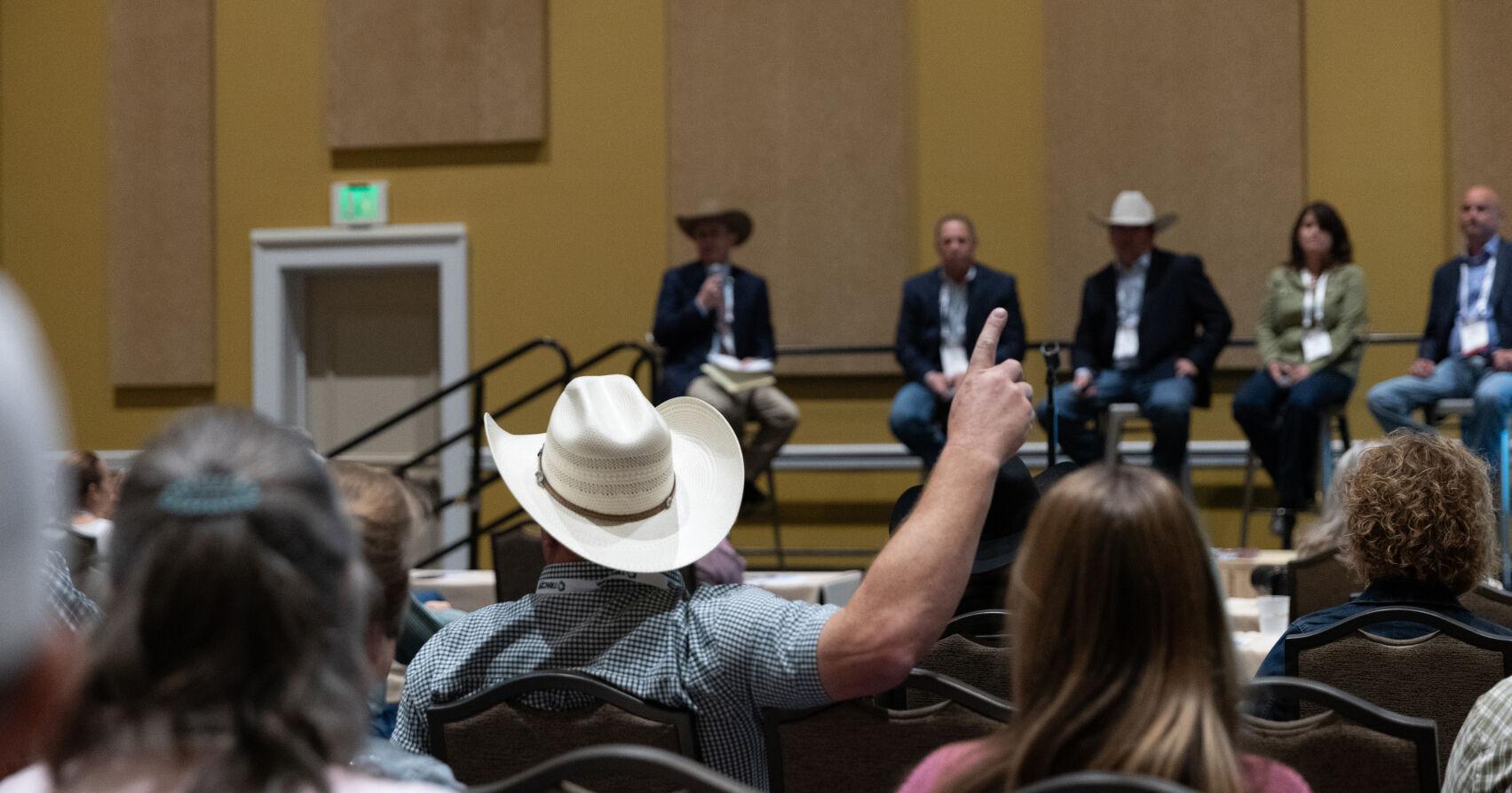 Panelists talk capturing value during Angus Convention - Vimarsana News