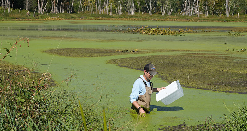 Bio-impact of chemicals examined