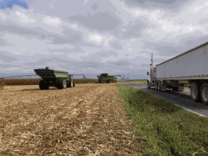 semi and grain wagon