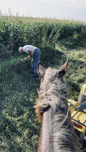 Checking fence