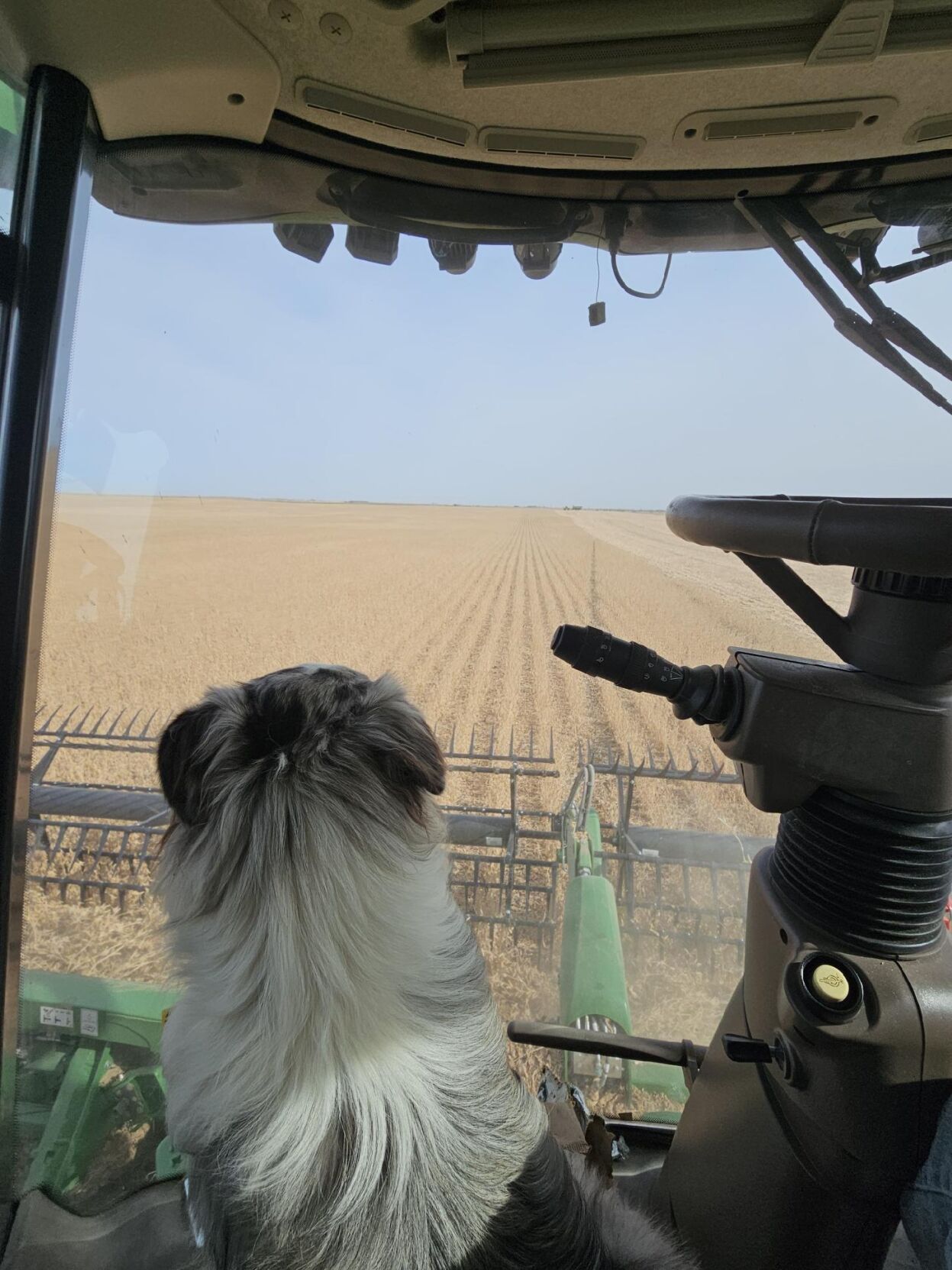 Harvest 2024 Update (11).JPG