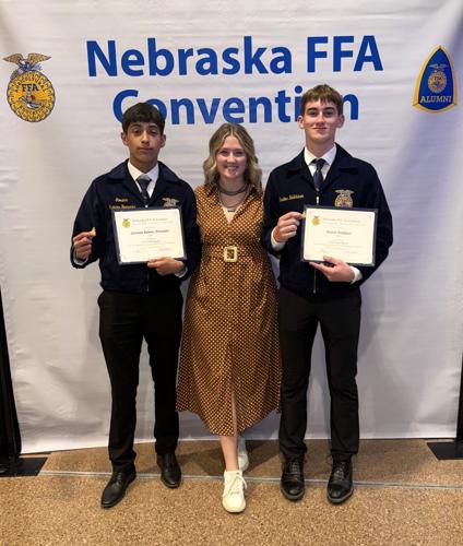 Gibbon FFA 1.jpeg