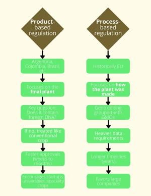 Gene-edited crops and the global regulatory divide