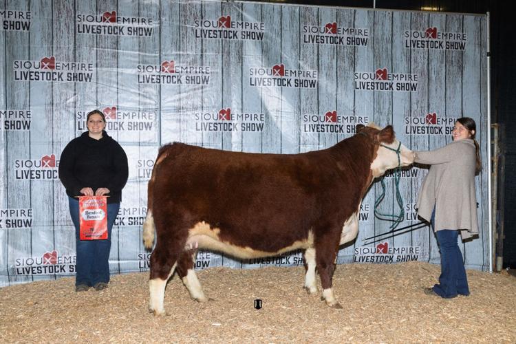 Purebred-Show---Res-Hereford-Heifer.jpg