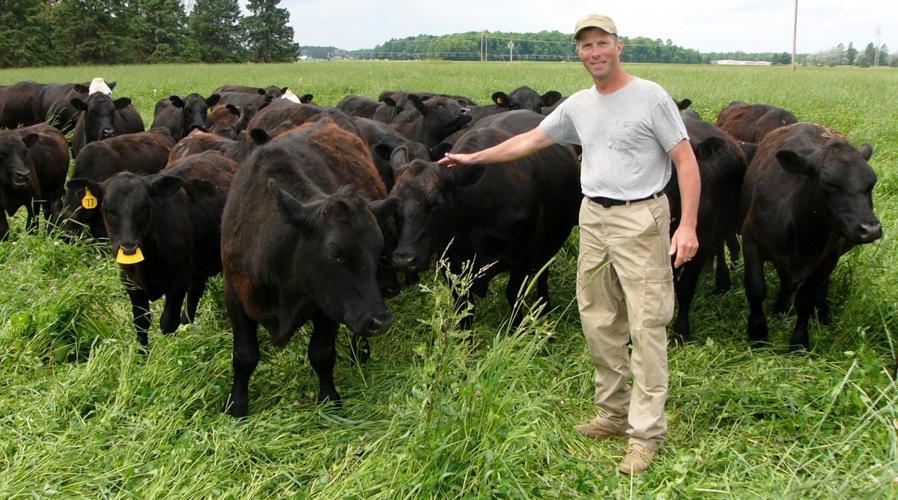Brian Igl with Angus herd