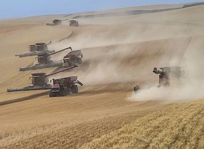 Combine crew