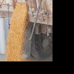 Central Valley Ag, Randall Farmers Co-op Union merging