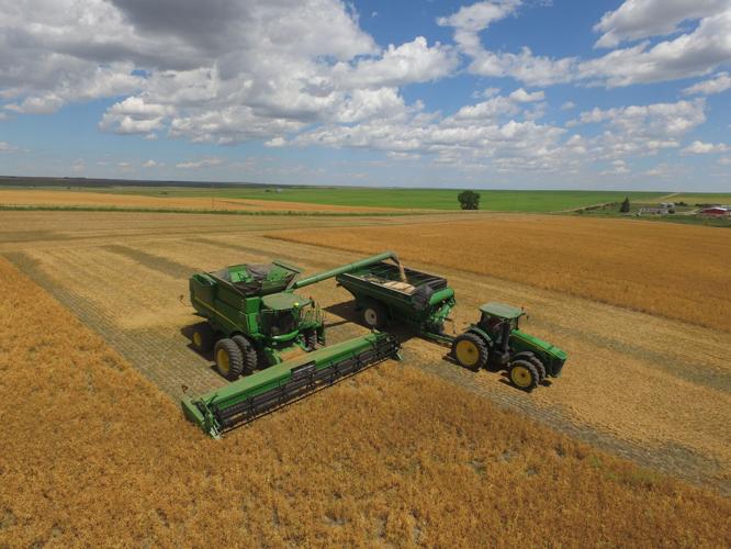 Custom labor shortage 2.jpg