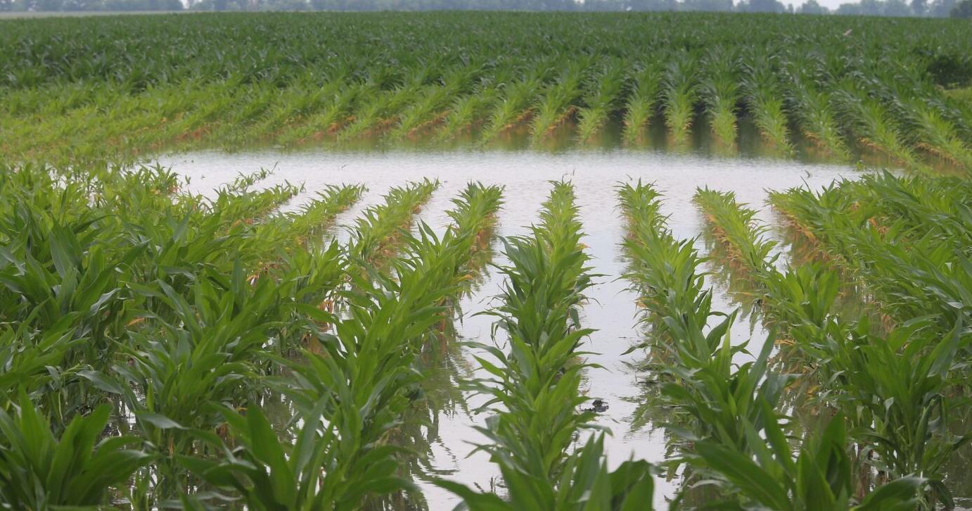 University receives grants for sustainable agriculture projects - Vimarsana News