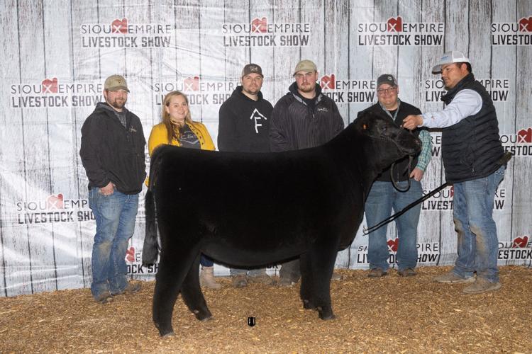 Purebred-Show---Heifer-Sup-Champ.jpg