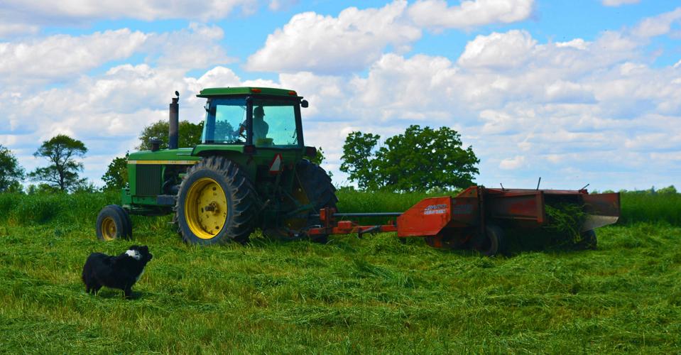 Matt Wundrow mows hay