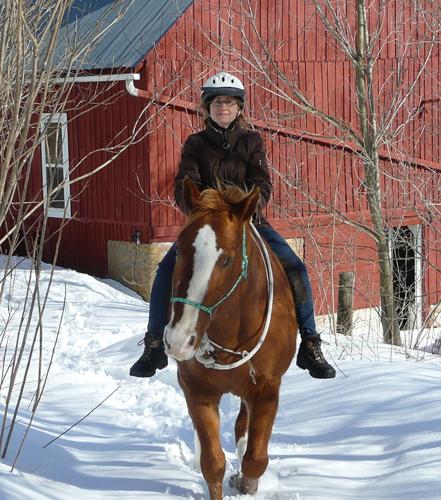 Understanding Your Horse's Tail - Val Heart