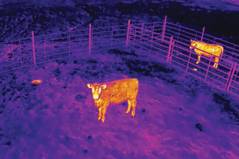 infrared camera on drone