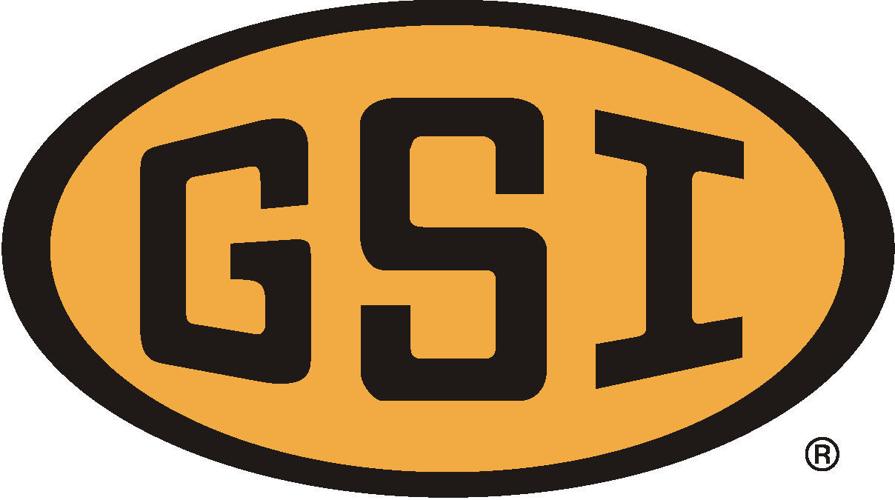 GSI logo