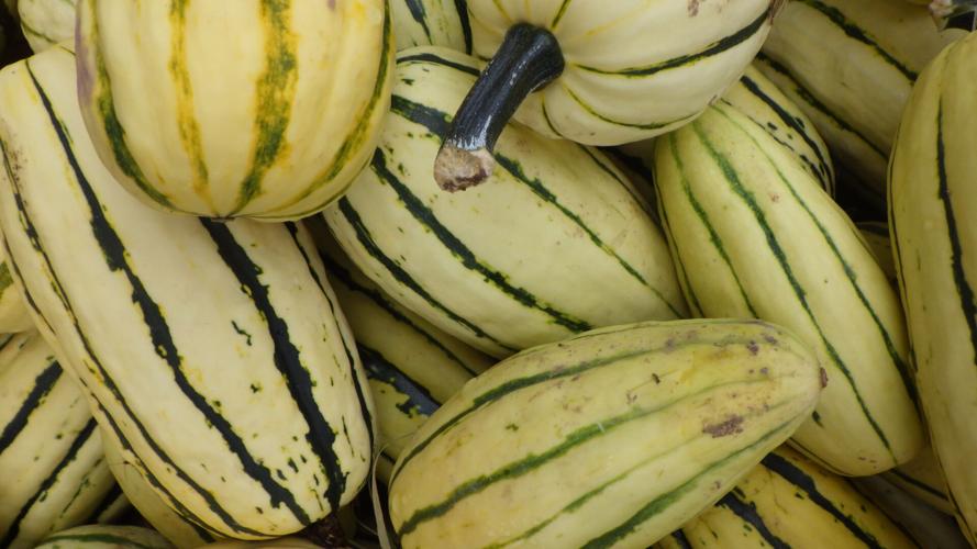 Squash