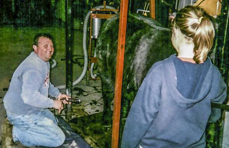 Mark Weigel shows cattle clipping Katie Leahy