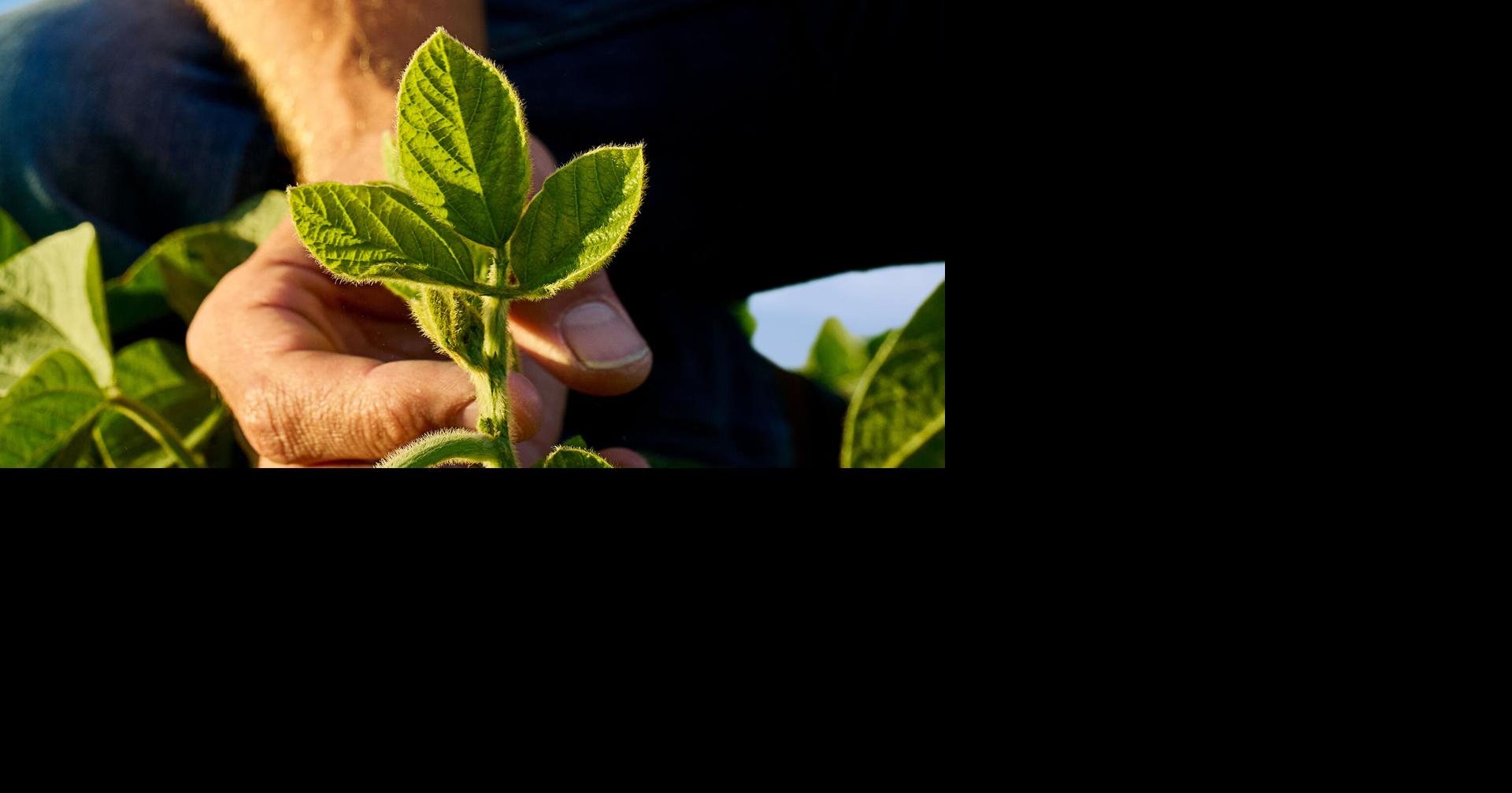 Is the agricultural industry turning a new leaf?