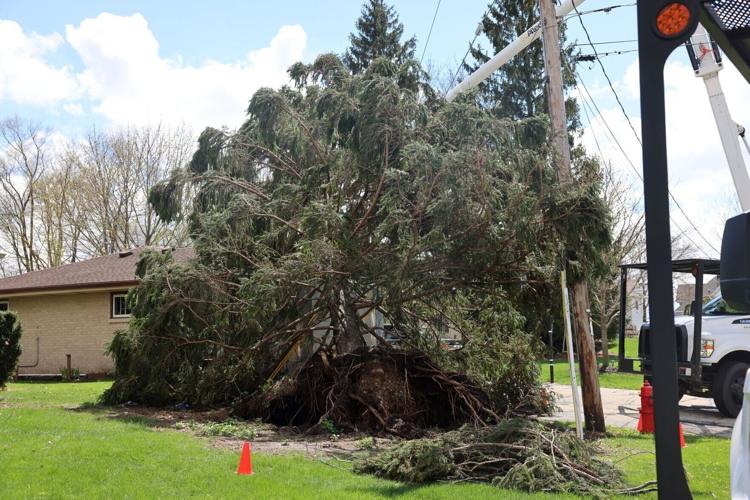 Tree ripped from ground in Waterford following Tuesday's storms