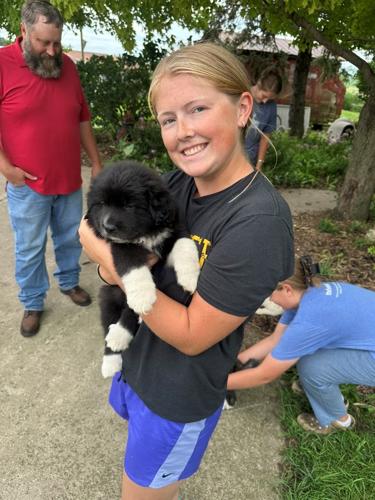 Mockler puppy