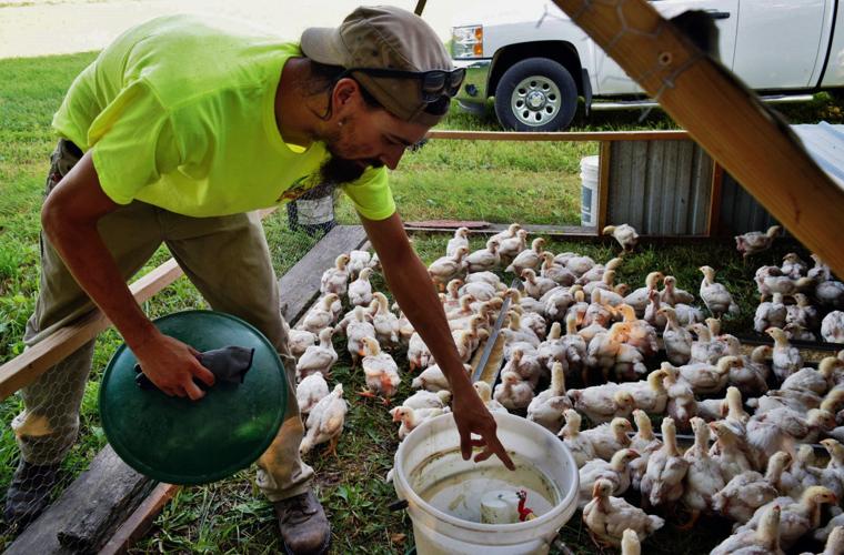 Braden Zywicki explains poultry-watering system